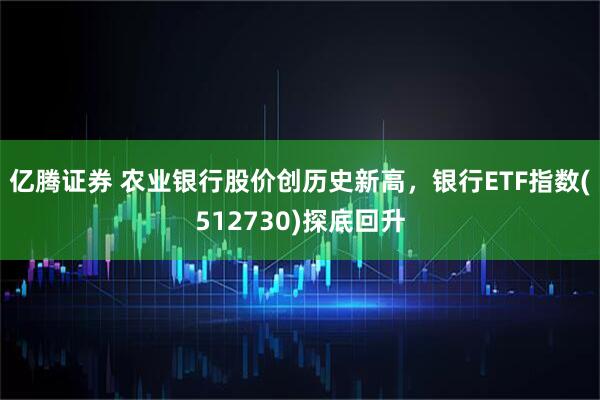 亿腾证券 农业银行股价创历史新高，银行ETF指数(512730)探底回升