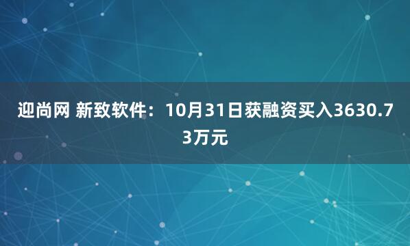 迎尚网 新致软件：10月31日获融资买入3630.73万元